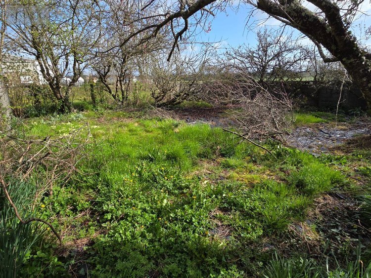 Maison a vendre Ceaucé 61330 Orne 108 m2 7 pièces 74000 euros