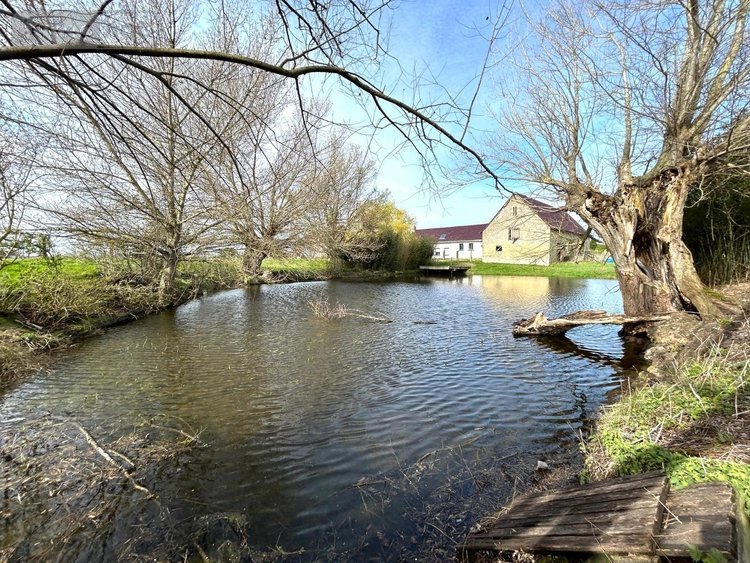 Maison a vendre Killem 59122 Nord 163 m2 7 pièces 352900 euros