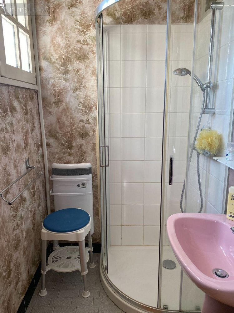 Maison a vendre Châtillon-sur-Indre 36700 Indre 115 m2 6 pièces 139000 euros