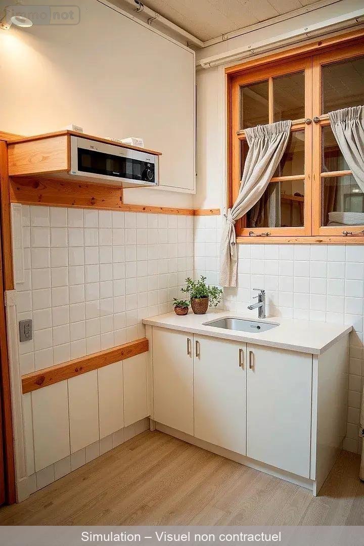 Maison a vendre Venesmes 18190 Cher 77 m2 4 pièces 41960 euros