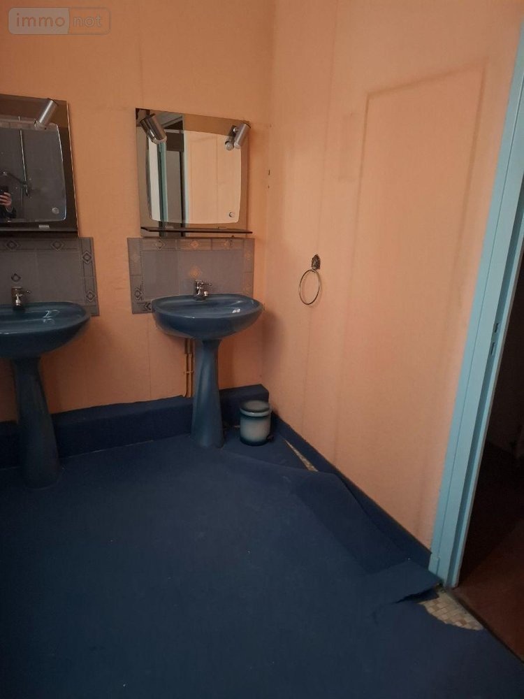 Maison a vendre Henrichemont 18250 Cher 280 m2 9 pièces 158250 euros