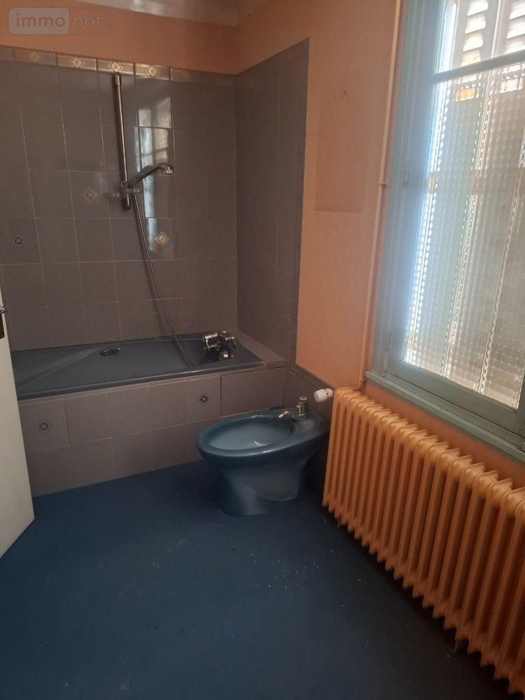 Maison a vendre Henrichemont 18250 Cher 280 m2 9 pièces 158250 euros