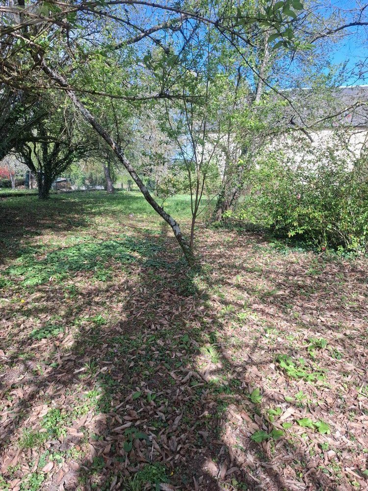 Maison a vendre Henrichemont 18250 Cher 280 m2 9 pièces 158250 euros