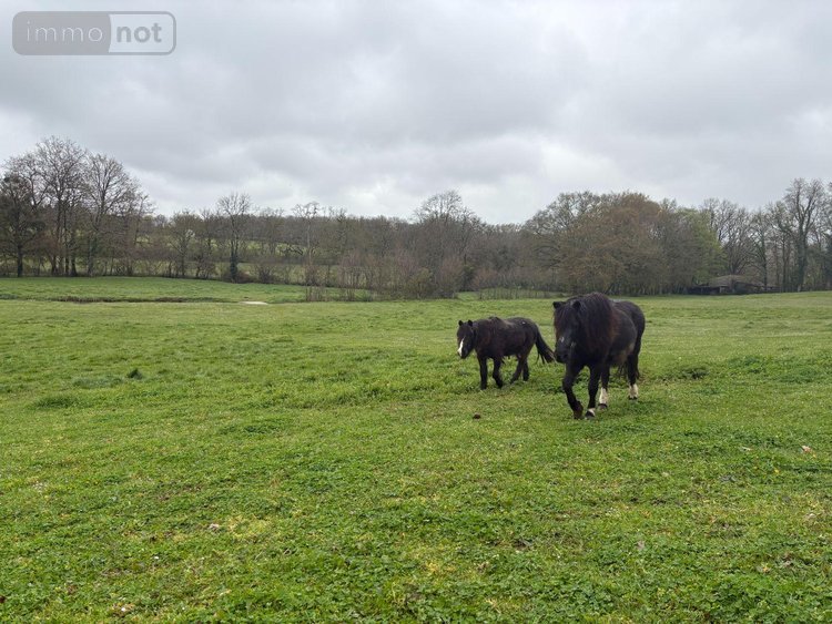 Maison a vendre Prissac 36370 Indre 171 m2 8 pièces 315000 euros