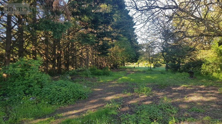 Maison a vendre Saint-Georges-sur-la-Prée 18100 Cher 114 m2 5 pièces 231880 euros