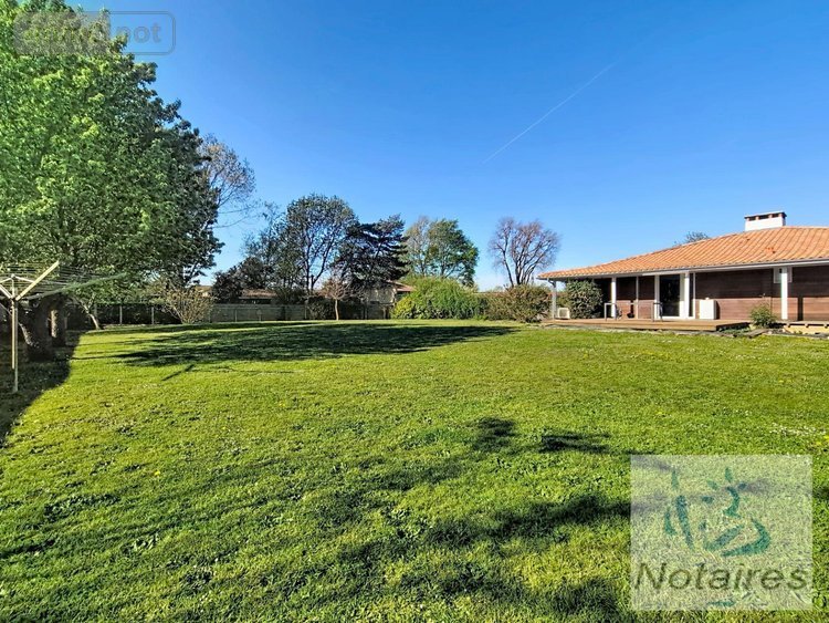 Maison a vendre Saint-Léon 33670 Gironde 130 m2 4 pièces 339000 euros