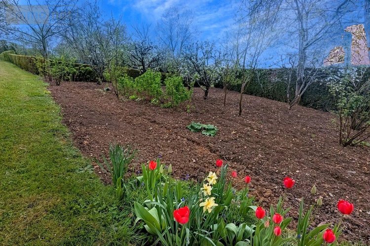 Terrains de loisirs bois etangs a vendre Nogent-le-Rotrou 28400 Eure-et-Loir 3219 m2  8500 euros