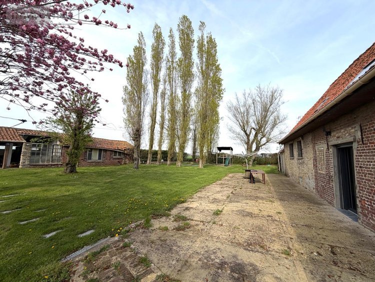 Maison a vendre Hondschoote 59122 Nord 189 m2 7 pièces 389900 euros