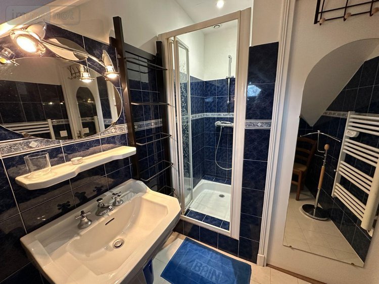 Maison a vendre Montrichard-Val-de-Cher 41400 Loir-et-Cher 140 m2 7 pièces 392792 euros