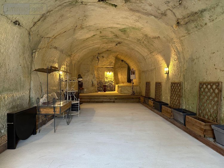 Maison a vendre Montrichard-Val-de-Cher 41400 Loir-et-Cher 140 m2 7 pièces 392792 euros