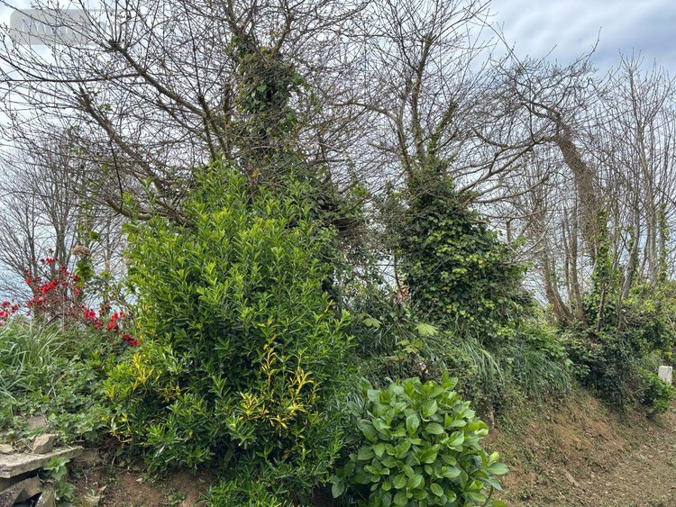 Terrain a batir a vendre Quéménéven 29180 Finistère 1487 m2  64400 euros