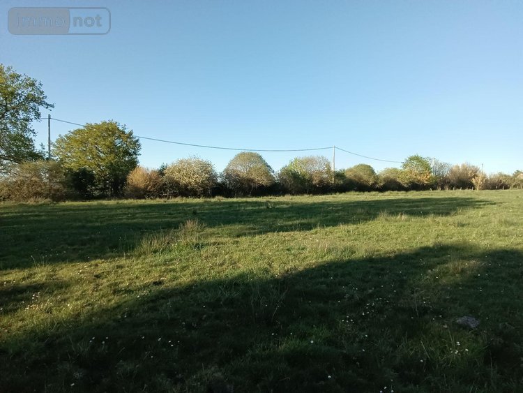 Maison a vendre Saint-Pierre-les-Bois 18170 Cher 90 m2 3 pièces 48000 euros