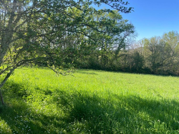 Maison a vendre Ribérac 24600 Dordogne 148 m2 3 pièces 144450 euros