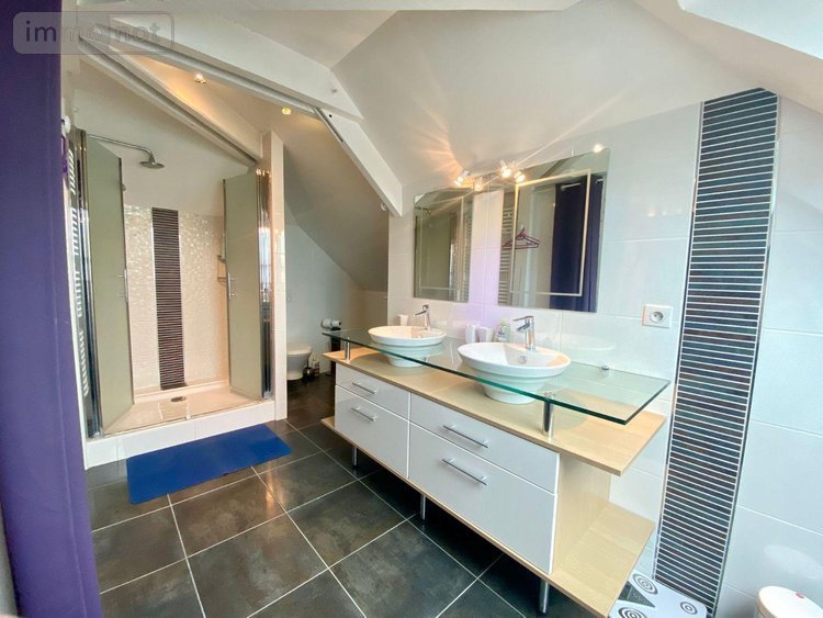 Maison a vendre Le Mans 72000 Sarthe 328 m2 10 pièces 661000 euros