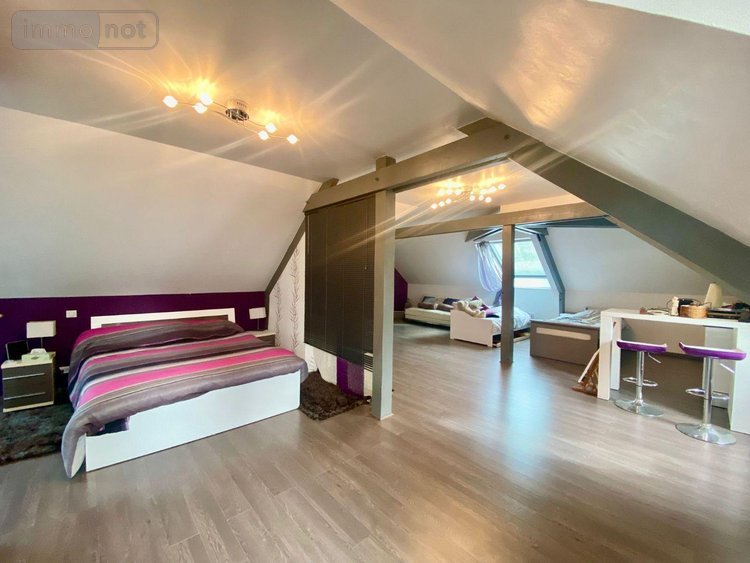 Maison a vendre Le Mans 72000 Sarthe 328 m2 10 pièces 661000 euros