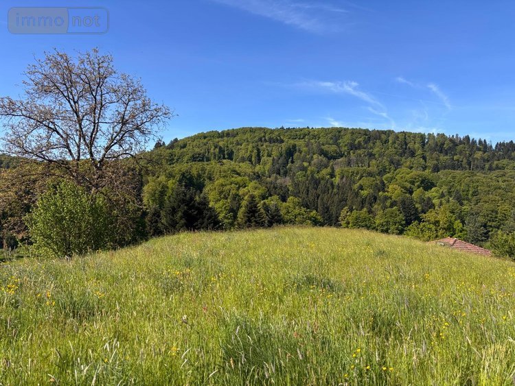 Terrain a batir a vendre Le Val-d'Ajol 88340 Vosges 813 m2  23600 euros