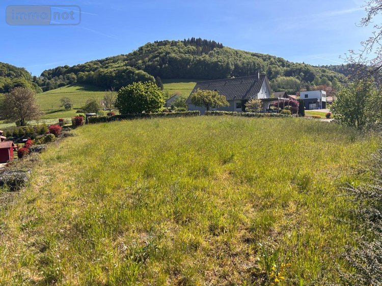 Terrain a batir a vendre Le Val-d'Ajol 88340 Vosges 813 m2  23600 euros