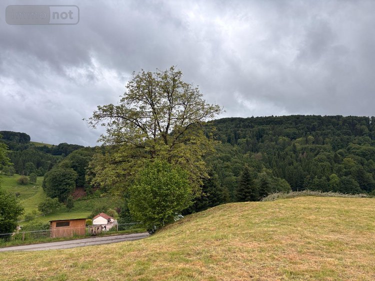 Terrain a batir a vendre Le Val-d'Ajol 88340 Vosges 813 m2  23600 euros