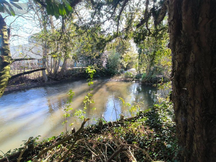 Maison a vendre Louviers 27400 Eure 202 m2 8 pièces 400000 euros