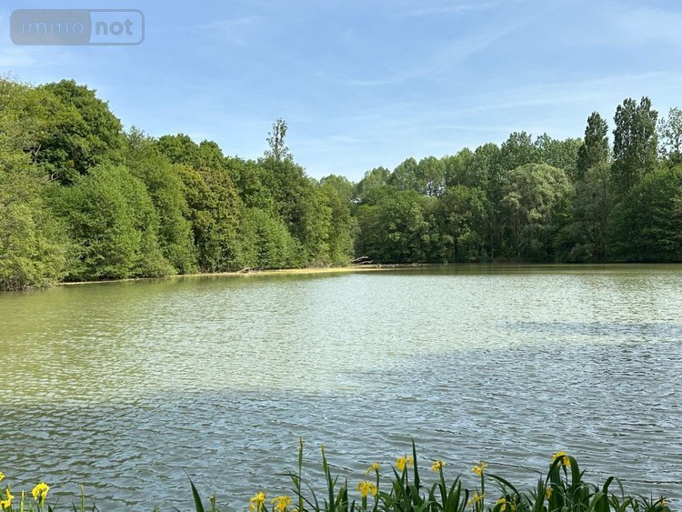 Maison a vendre Orbigny 37460 Indre-et-Loire 300 m2 4 pièces 596057 euros