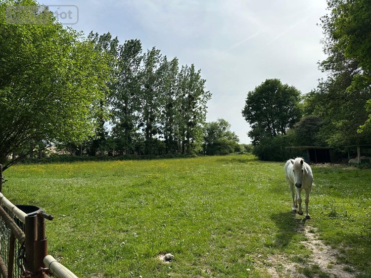 Maison a vendre Orbigny 37460 Indre-et-Loire 300 m2 4 pièces 596057 euros