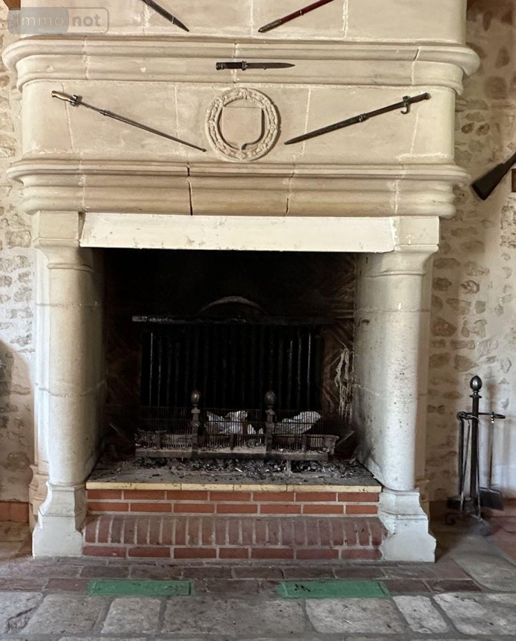 Maison a vendre Orbigny 37460 Indre-et-Loire 300 m2 4 pièces 596057 euros