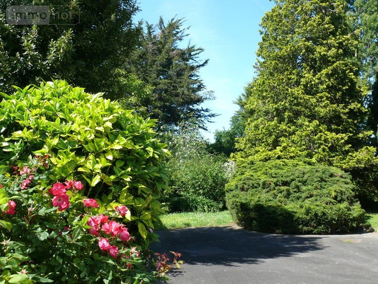 Maison a vendre Quévert 22100 Côtes-d'Armor 117 m2 6 pièces 238970 euros