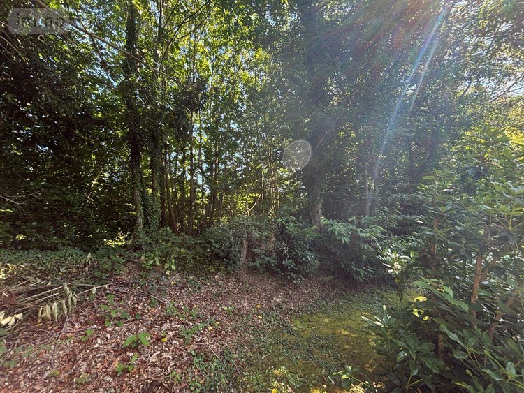 Maison a vendre Plomelin 29700 Finistère 97 m2 5 pièces 271800 euros