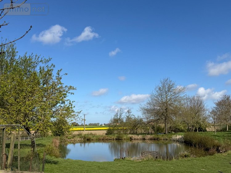 Maison a vendre Killem 59122 Nord 164 m2 6 pièces 297000 euros