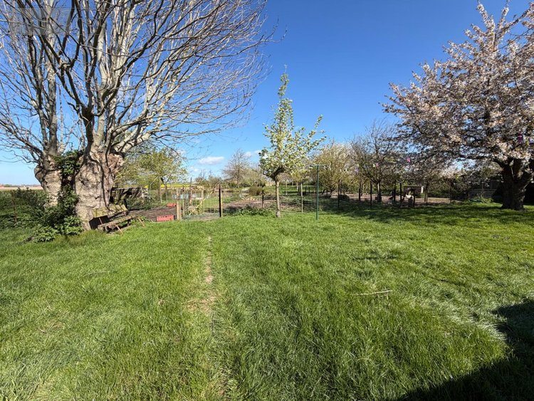 Maison a vendre Killem 59122 Nord 164 m2 6 pièces 297000 euros