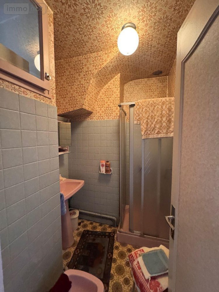 Maison a vendre Limoges 87000 Haute-Vienne 155 m2 7 pièces 233450 euros