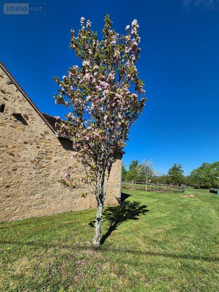 Maison a vendre Orsennes 36190 Indre 160 m2 6 pièces 136000 euros