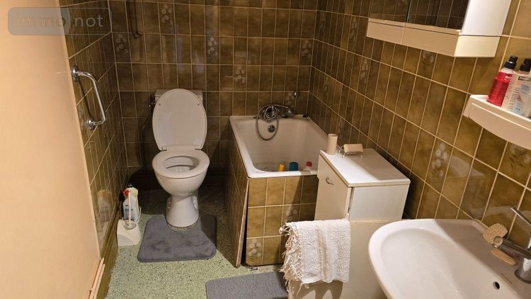 Maison a vendre Melle 79500 Deux-Sèvres 258 m2 13 pièces 332700 euros