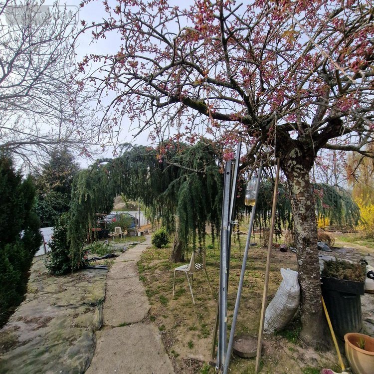 Maison a vendre Pré-en-Pail-Saint-Samson 53140 Mayenne 71 m2  132500 euros