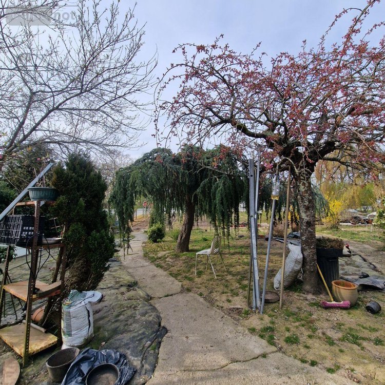 Maison a vendre Pré-en-Pail-Saint-Samson 53140 Mayenne 71 m2  132500 euros