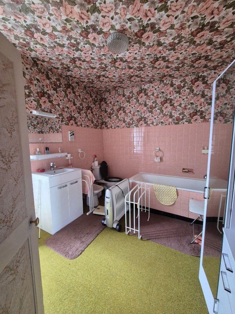 Maison a vendre Lourdoueix-Saint-Michel 36140 Indre 130 m2 6 pièces 69000 euros