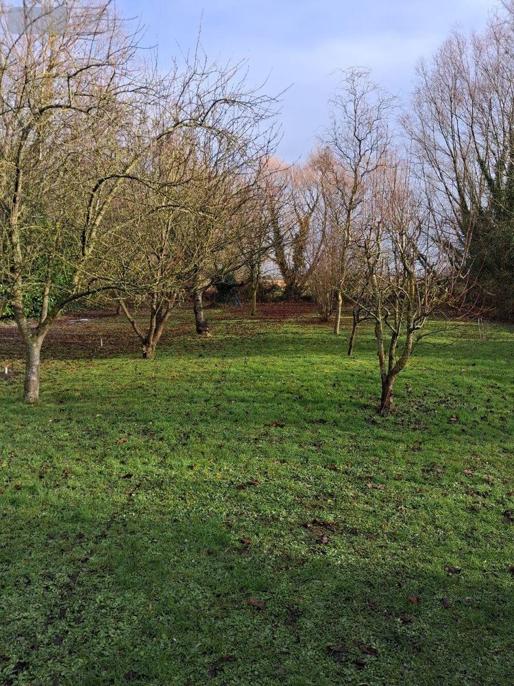 Maison a vendre Bourbourg 59630 Nord 146 m2 6 pièces 228800 euros