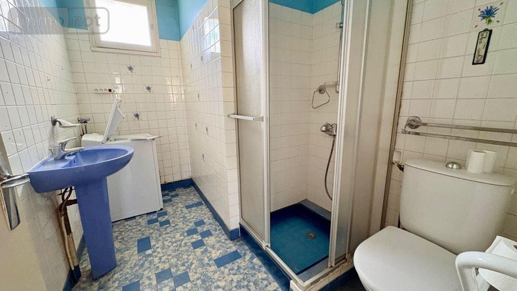 Maison a vendre Salbris 41300 Loir-et-Cher 177 m2 5 pièces 98022 euros