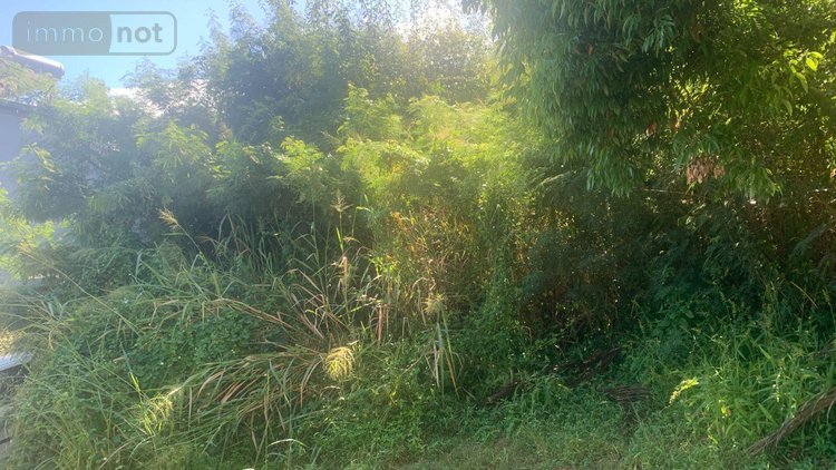 Terrain a batir a vendre Bois-de-Nefles-St-Paul 97411 Réunion 430 m2  171000 euros
