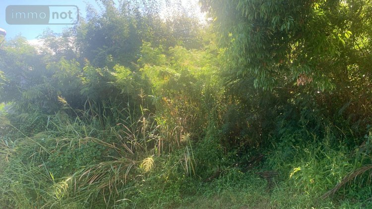 Terrain a batir a vendre Bois-de-Nefles-St-Paul 97411 Réunion 430 m2  171000 euros
