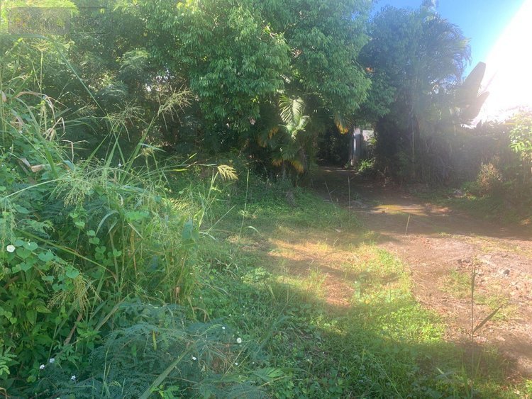Terrain a batir a vendre Bois-de-Nefles-St-Paul 97411 Réunion 430 m2  171000 euros
