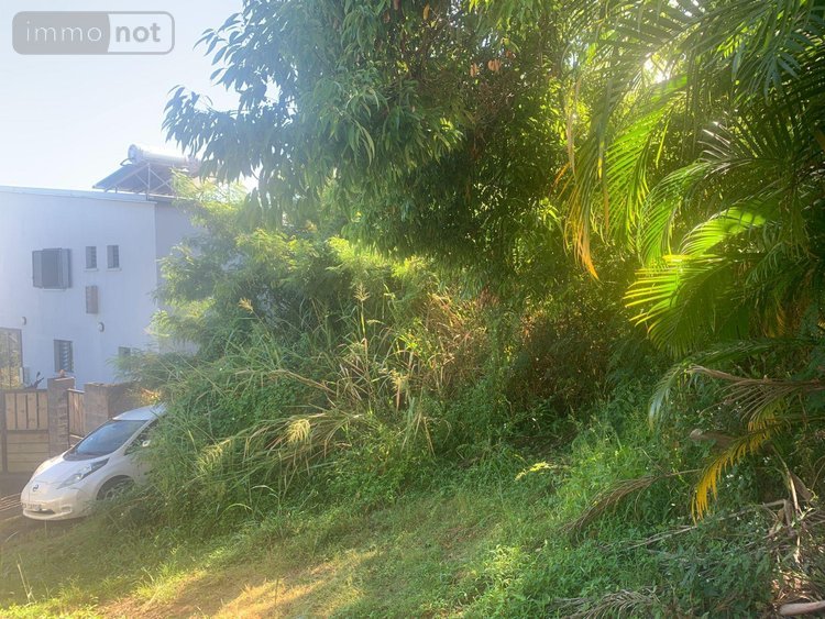 Terrain a batir a vendre Bois-de-Nefles-St-Paul 97411 Réunion 430 m2  171000 euros