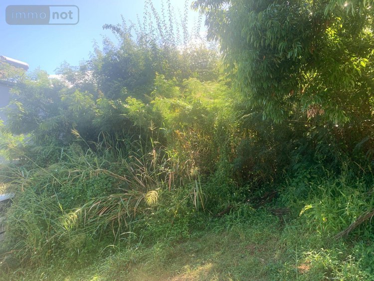 Terrain a batir a vendre Bois-de-Nefles-St-Paul 97411 Réunion 430 m2  171000 euros