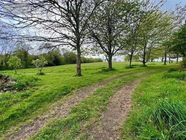 Maison a vendre Riec sur Bélon 29340 Finistère 126 m2 5 pièces 700000 euros