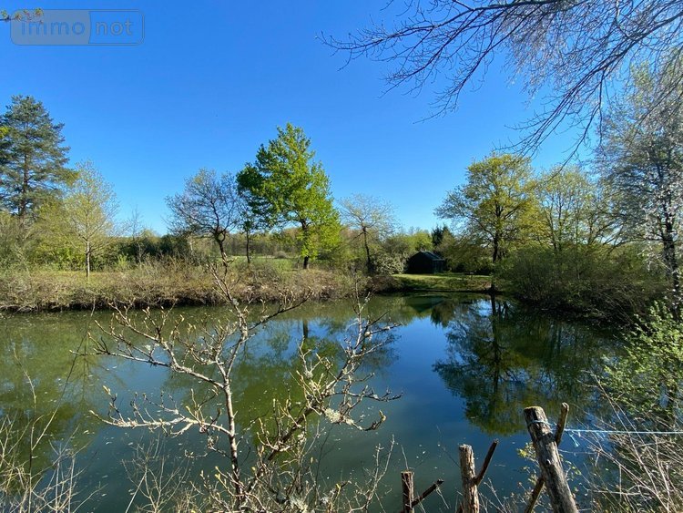 Terrains de loisirs bois etangs a vendre Saint-Genou 36500 Indre 7002 m2  22200 euros