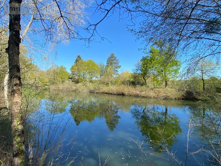 Terrains de loisirs bois etangs a vendre Saint-Genou 36500 Indre 7002 m2  22200 euros