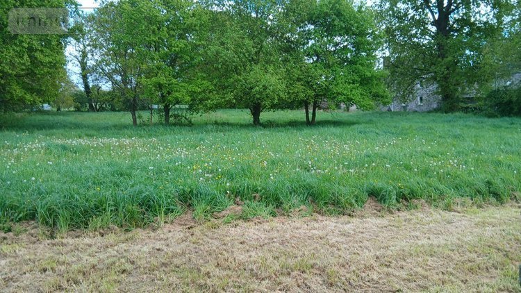 Maison a vendre Caro 56140 Morbihan 71 m2 4 pièces 70000 euros