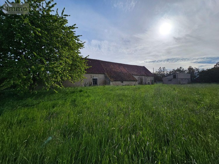 propriete a vendre Saint-Pierre-les-Bois 18170 Cher 200 m2  53000 euros