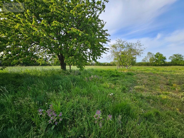 propriete a vendre Saint-Pierre-les-Bois 18170 Cher 200 m2  53000 euros