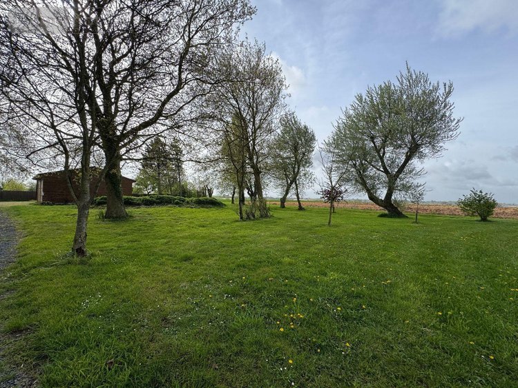 propriete a vendre Sainte-Marie-Cappel 59670 Nord 220 m2 8 pièces 649000 euros